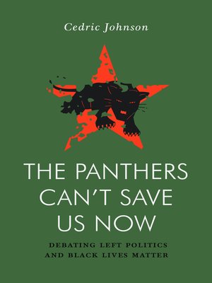 The Panthers Can't Save Us Now - ebook
